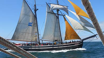 Semaine du Golfe 2015 actualité