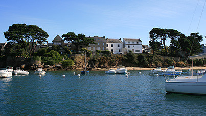 Coup de coeur de l'été actualité