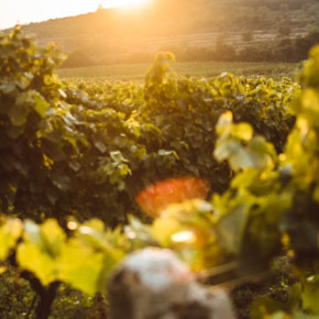 Séminaire et découvertes