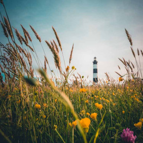 Destination Île d'Oléron