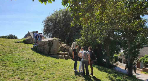Bréhat, l'île aux fleurs des Côtes d'Armor