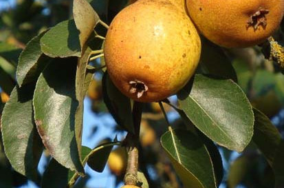 Journée au pays de la cure thermale